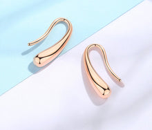 Load image into Gallery viewer, 925 Sterling Silver Small, Small And Simple Temperament Personality Cold Wind Ear Buckle Earrings