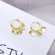Load image into Gallery viewer, Light luxury earrings silver earrings