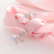 Load image into Gallery viewer, Earring short hair earrings