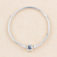 Load image into Gallery viewer, Snake bone basic bracelet bracelet